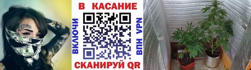 МЕФ Коммунар