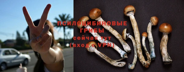 дживик Нягань