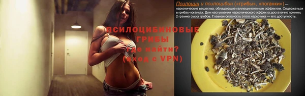 герыч Новодвинск