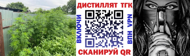ТГК THC oil  Коммунар 