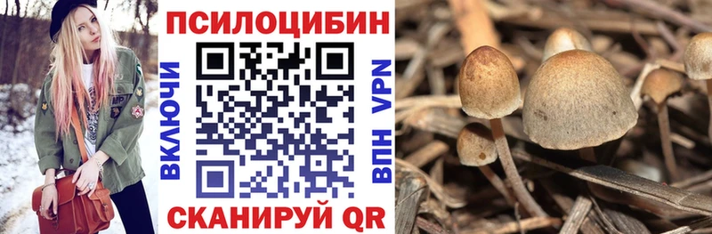Галлюциногенные грибы ЛСД  Коммунар 