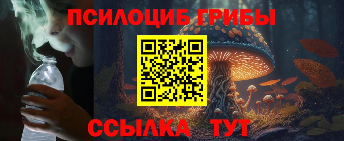 закладки  Псилоцибиновые грибы Psilocybine cubensis  Вход с VPN  Коммунар 